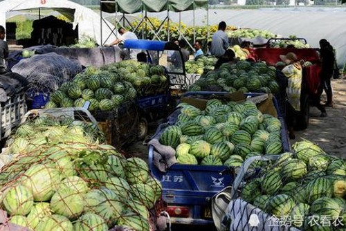 班主任跳舞引爆校园，严肃形象背后的自我挑战与学生互动新风尚