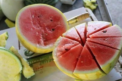 吃瓜酱爷爷与娱乐圈吃瓜小说的背后解读