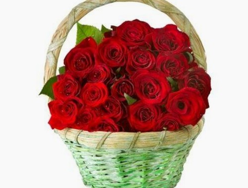 国产熟女魅力大揭秘：从角色塑造到健身秘笈的时间线回顾