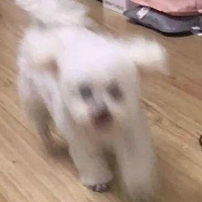 毕雯珺最新动态曝光,揭秘娱乐圈背后的趣味故事