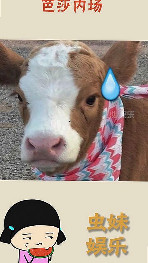 娱乐圈幕后揭秘:大S独家爆料引发关注,明星隐私层层揭开