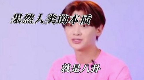 娱乐圈吃瓜梗大揭秘与温馨瞬间回顾