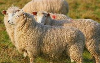 李现持续发力新剧拍摄，演技与公益形象并重