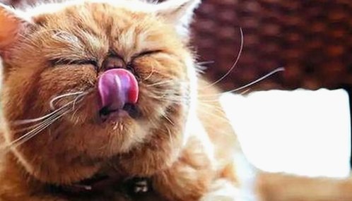 从吃瓜少女到90后辣妈：娱乐吃瓜酱的人生三部曲