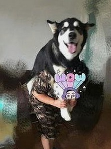 吉林警花张津瑜再陷“厕所门”争议，视频细节引发热议🔥