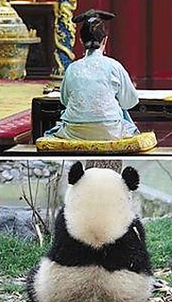 从神秘“妮妮”到新疆吃瓜新宠，娱乐圈大瓜背后的身份反差