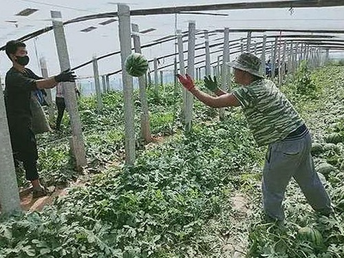 爆瓜网揭秘娱乐圈幕后风云与热议话题